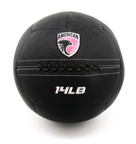 pro wall balls american barbell premium wall ball 14 lbs 6 3 kg 9220